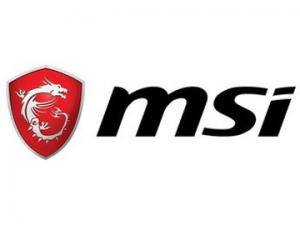 Logo_MSI